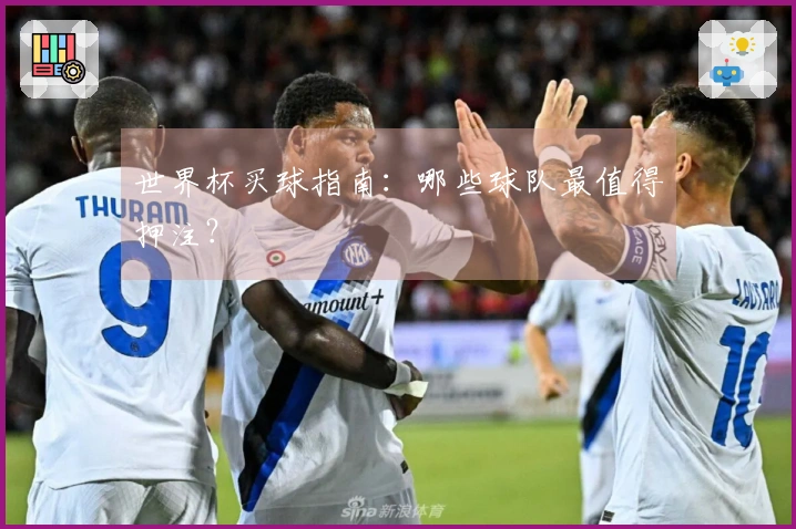 世界杯买球指南：哪些球队最值得押注？