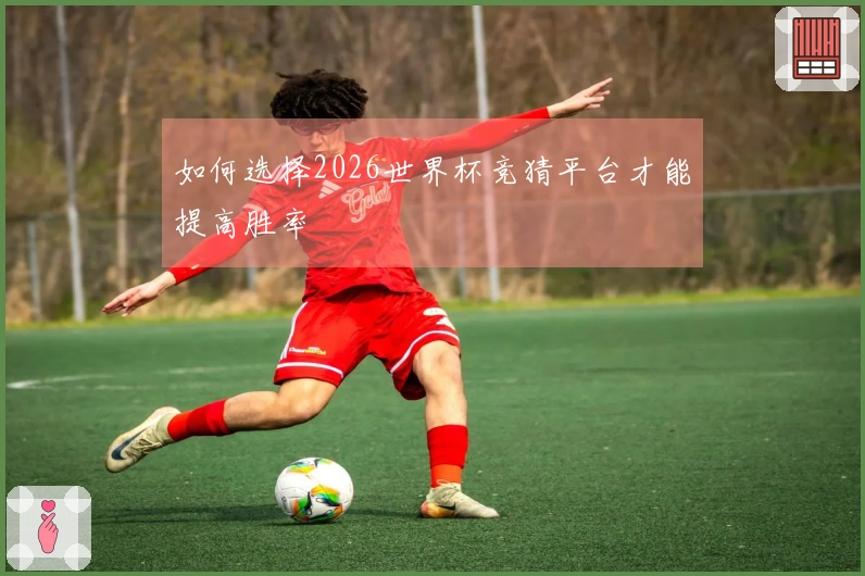如何选择2026世界杯竞猜平台才能提高胜率