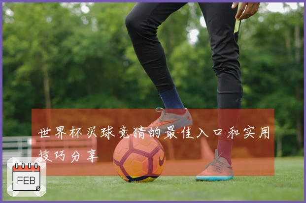世界杯买球竞猜的最佳入口和实用技巧分享