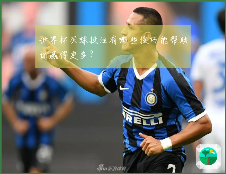 世界杯买球投注有哪些技巧能帮助你赢得更多？