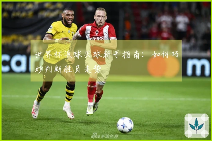 世界杯滚球买球新手指南：如何巧妙判断胜负走势