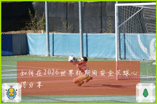如何在2026世界杯期间安全买球心得分享