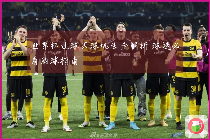 世界杯让球买球玩法全解析 球迷必看购球指南