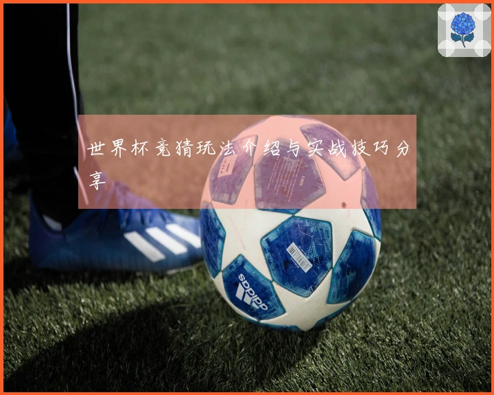 世界杯竞猜玩法介绍与实战技巧分享